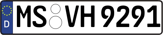 MS-VH9291