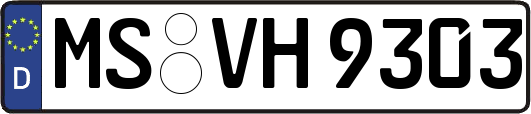 MS-VH9303