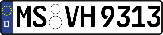 MS-VH9313