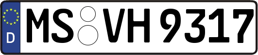 MS-VH9317