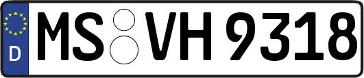 MS-VH9318