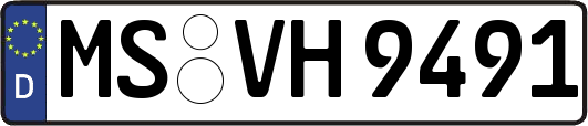 MS-VH9491