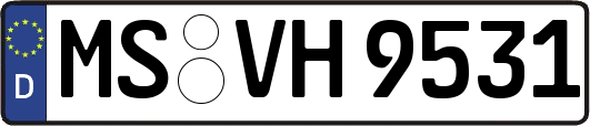 MS-VH9531