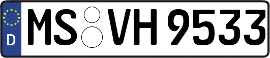 MS-VH9533