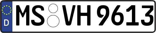 MS-VH9613
