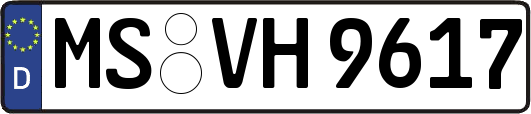 MS-VH9617