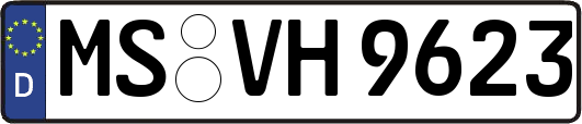 MS-VH9623