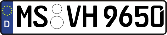 MS-VH9650