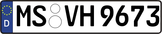 MS-VH9673