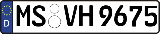 MS-VH9675