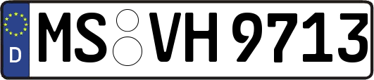 MS-VH9713