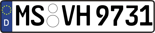 MS-VH9731