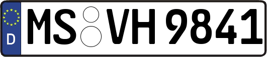 MS-VH9841