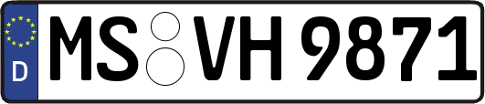 MS-VH9871