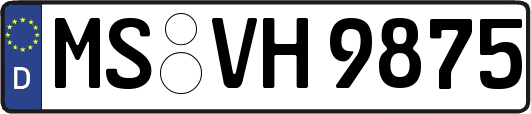 MS-VH9875