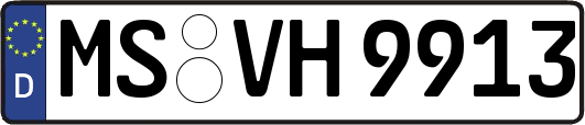 MS-VH9913