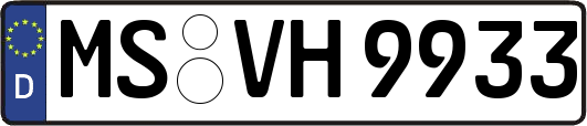 MS-VH9933