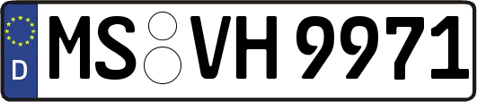 MS-VH9971