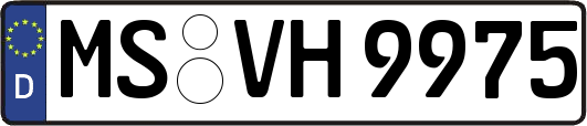 MS-VH9975
