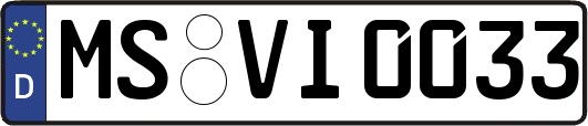MS-VI0033