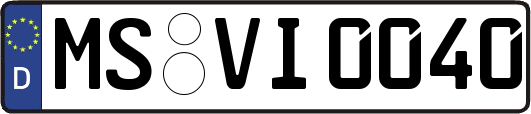 MS-VI0040