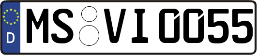 MS-VI0055