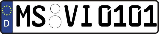 MS-VI0101