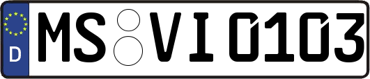 MS-VI0103
