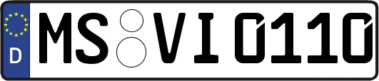 MS-VI0110