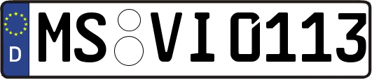 MS-VI0113