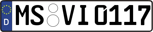 MS-VI0117