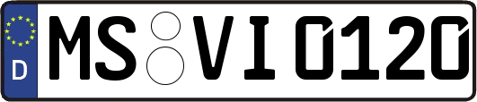 MS-VI0120