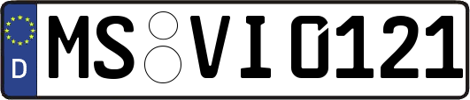 MS-VI0121