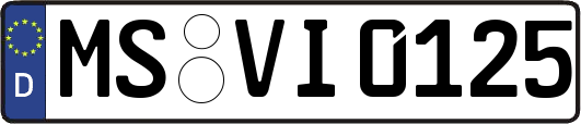 MS-VI0125