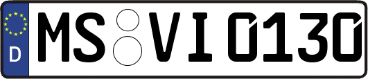 MS-VI0130