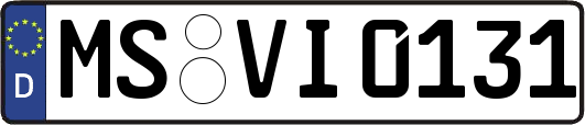 MS-VI0131