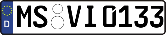 MS-VI0133