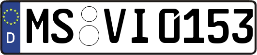 MS-VI0153
