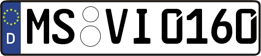 MS-VI0160