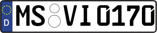 MS-VI0170
