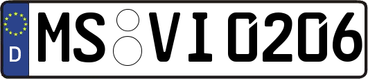MS-VI0206