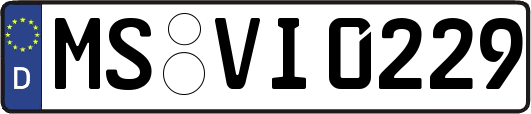 MS-VI0229