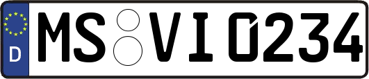 MS-VI0234