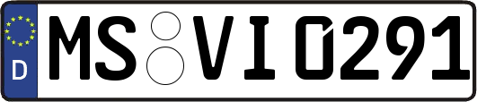 MS-VI0291