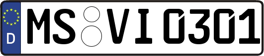 MS-VI0301