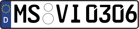 MS-VI0306