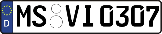MS-VI0307