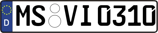 MS-VI0310