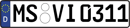 MS-VI0311