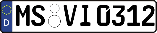 MS-VI0312
